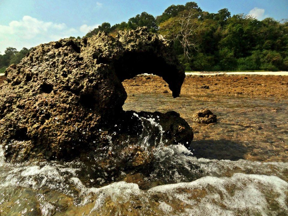 Photo of Amazing Andaman 19/24 by Debarshi