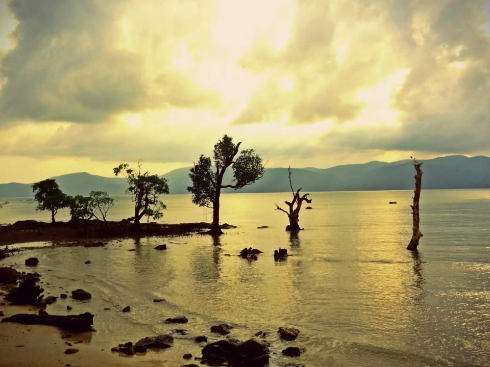 Photo of Amazing Andaman 23/24 by Debarshi