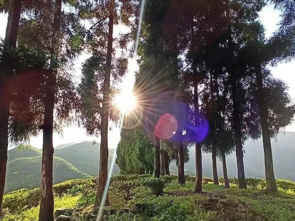 Photo of North Bengal by Travelling with us