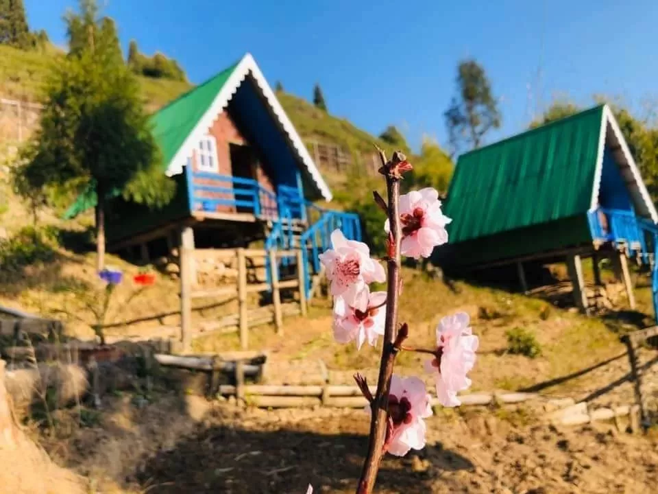 Photo of North Bengal by Travelling with us