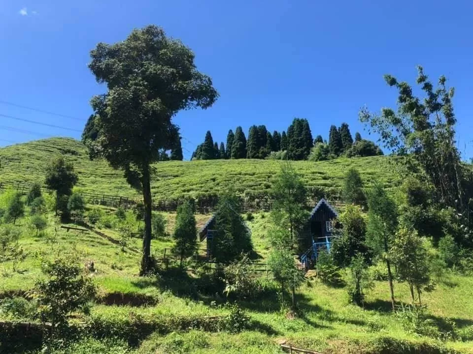 Photo of North Bengal by Travelling with us