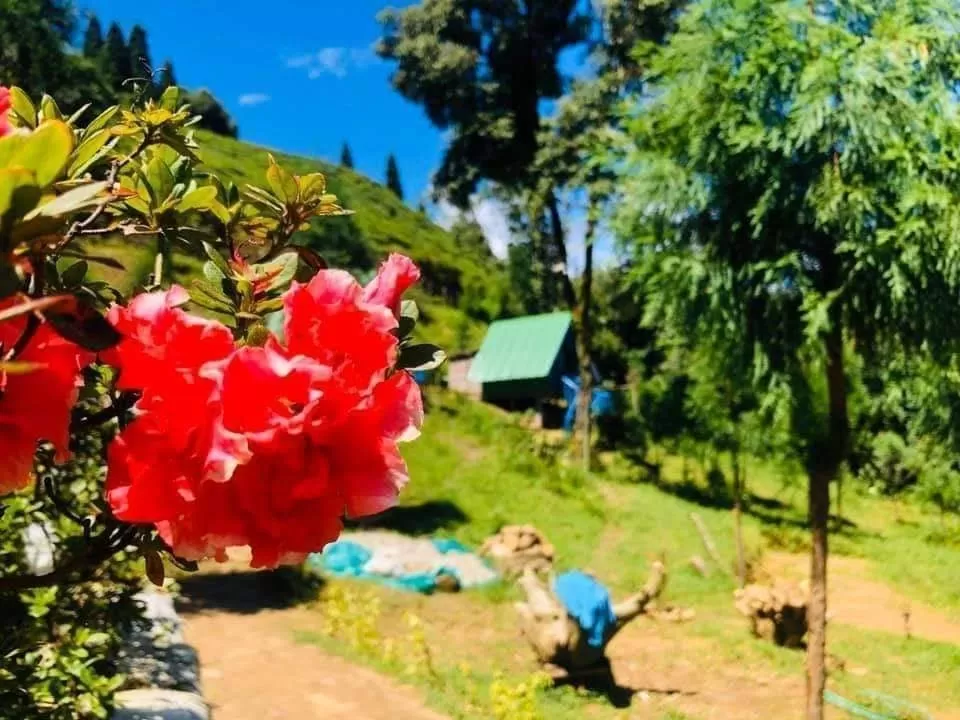 Photo of North Bengal by Travelling with us
