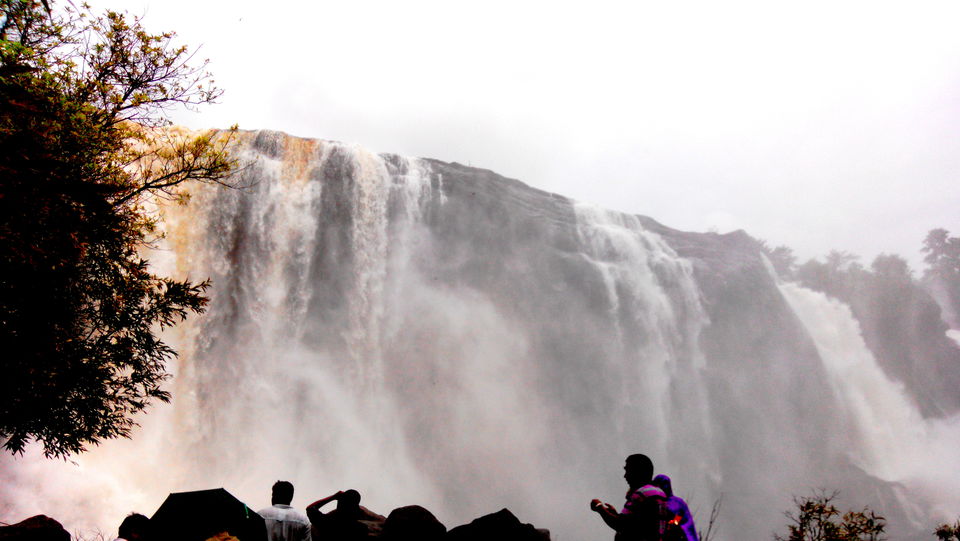 Photo of Quaint and serene Athirapilly and Allepy 10/23 by Gayatri