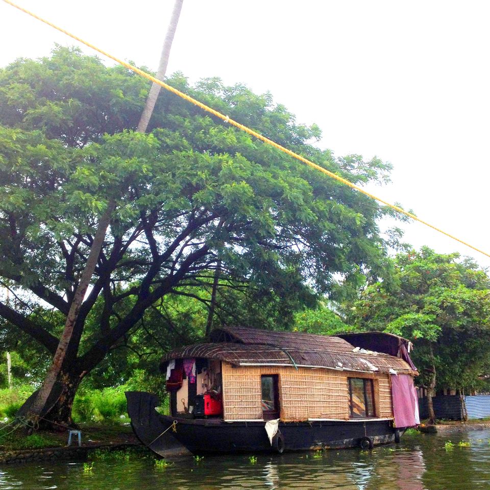 Photo of Quaint and serene Athirapilly and Allepy 11/23 by Gayatri