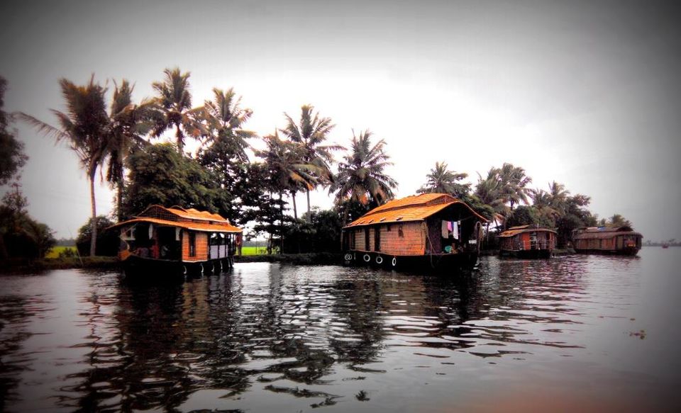 Photo of Quaint and serene Athirapilly and Allepy 18/23 by Gayatri