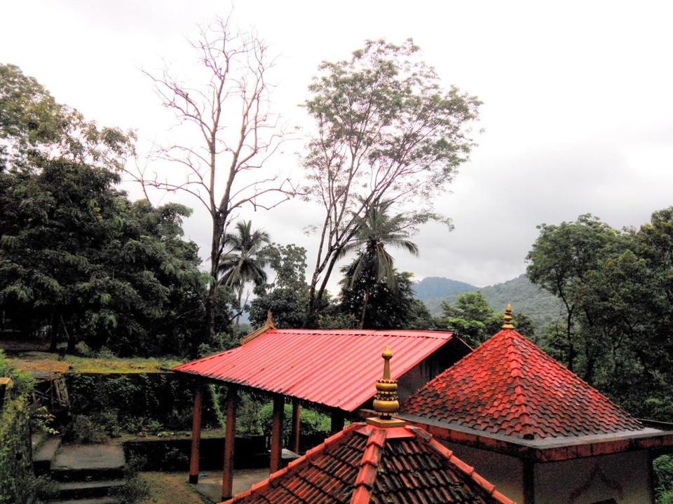 Photo of Quaint and serene Athirapilly and Allepy 19/23 by Gayatri