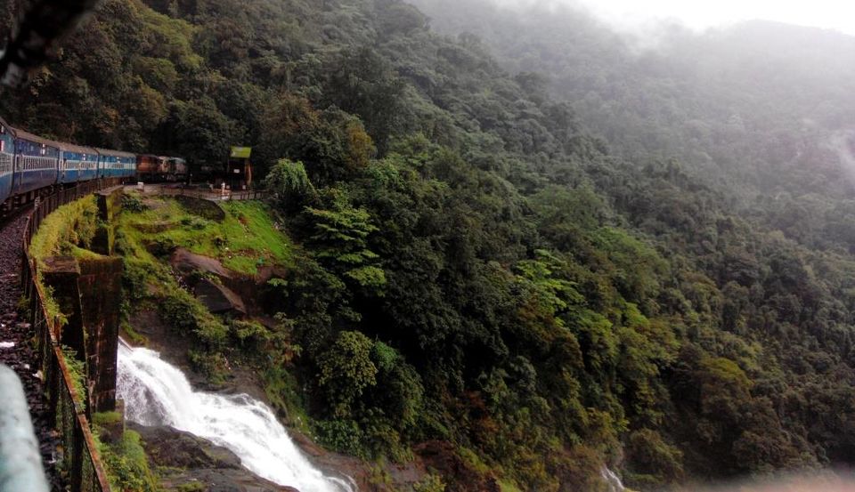 Photo of Quaint and serene Athirapilly and Allepy 22/23 by Gayatri