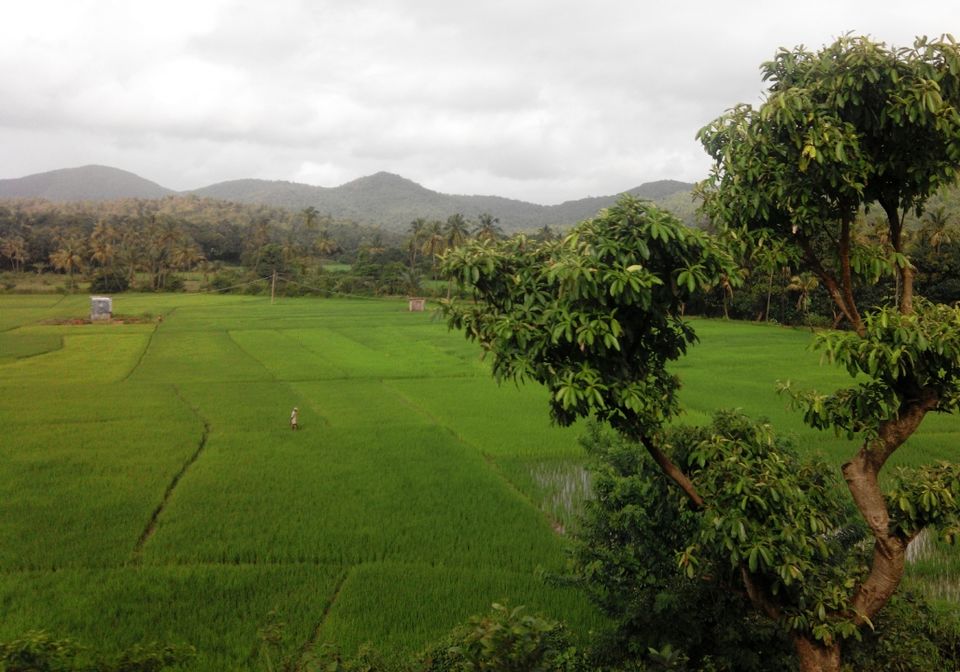 Photo of Athirapilly Waterfall by Gayatri Deore