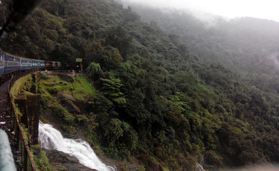 Photo of Athirapilly Waterfall by Gayatri Deore