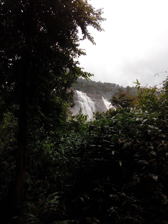 Photo of Athirapilly Waterfall by Gayatri Deore