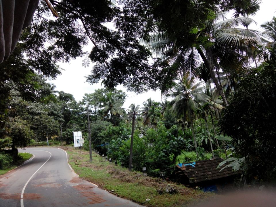 Photo of Athirapilly Waterfall by Gayatri Deore