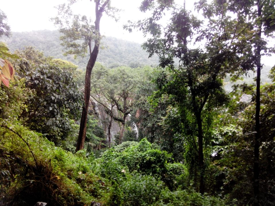 Photo of Athirapilly Waterfall by Gayatri Deore
