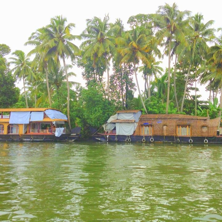Photo of Allepy Backwaters by Gayatri Deore
