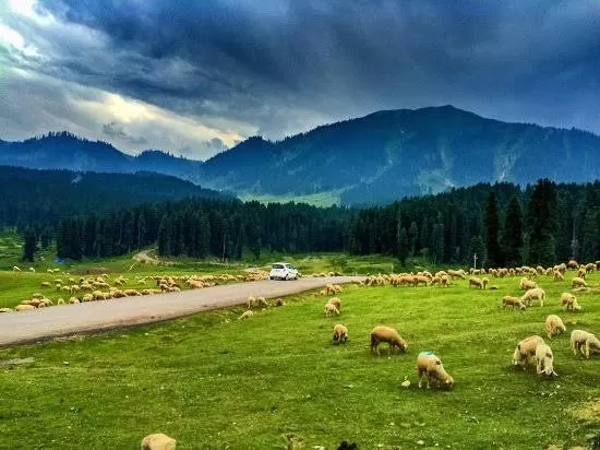 Photo of Ramban by Rim jhim