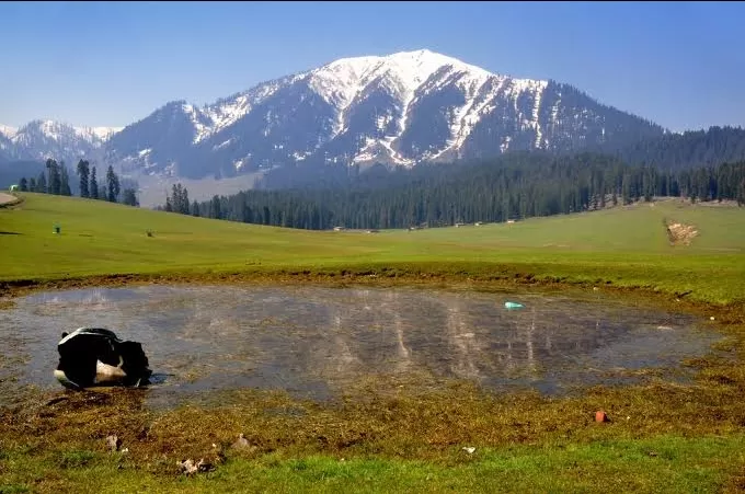 Photo of कश्मीर एक रहस्य, जहां अनेक रत्नों का भण्डार है by Rim jhim