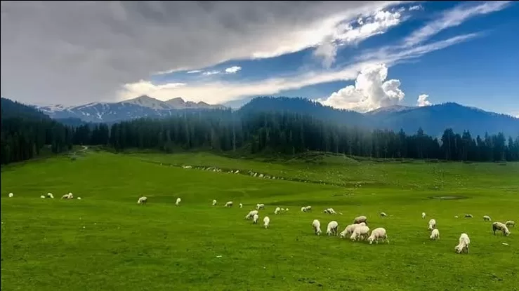 Photo of कश्मीर एक रहस्य, जहां अनेक रत्नों का भण्डार है by Rim jhim