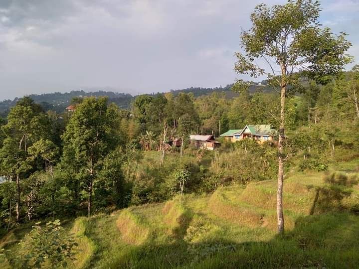 Photo of Chibbo Approach Road by Pankaj Biswas (akash)
