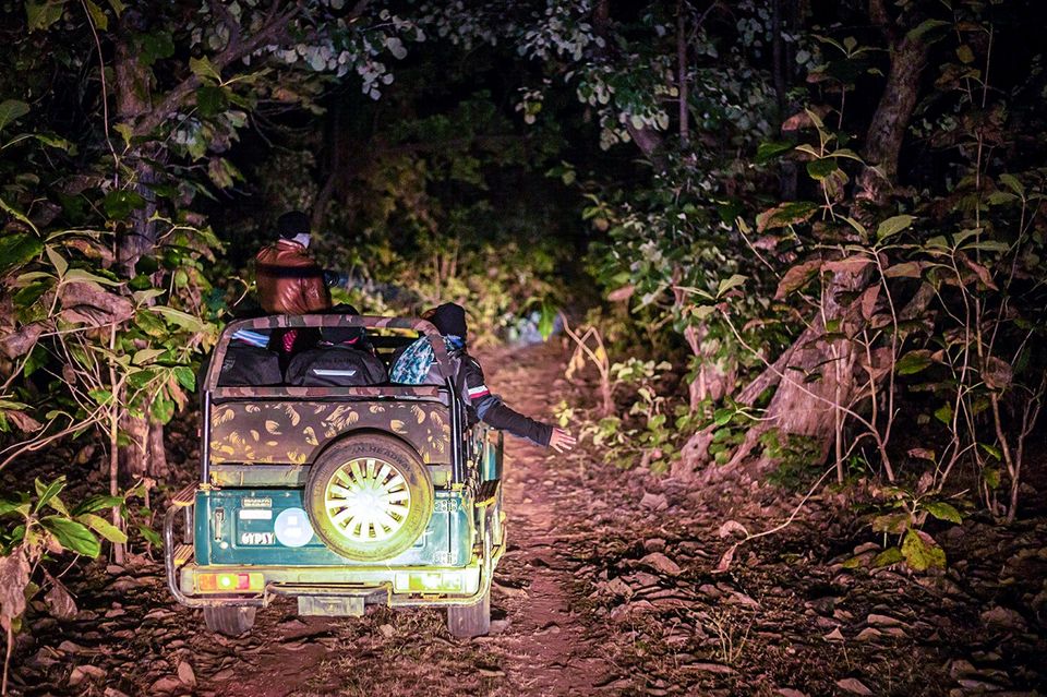 Photo of Experience the Thrills of a Night Safari at These National Parks in Madhya Pradesh by Madhya Pradesh Tourism