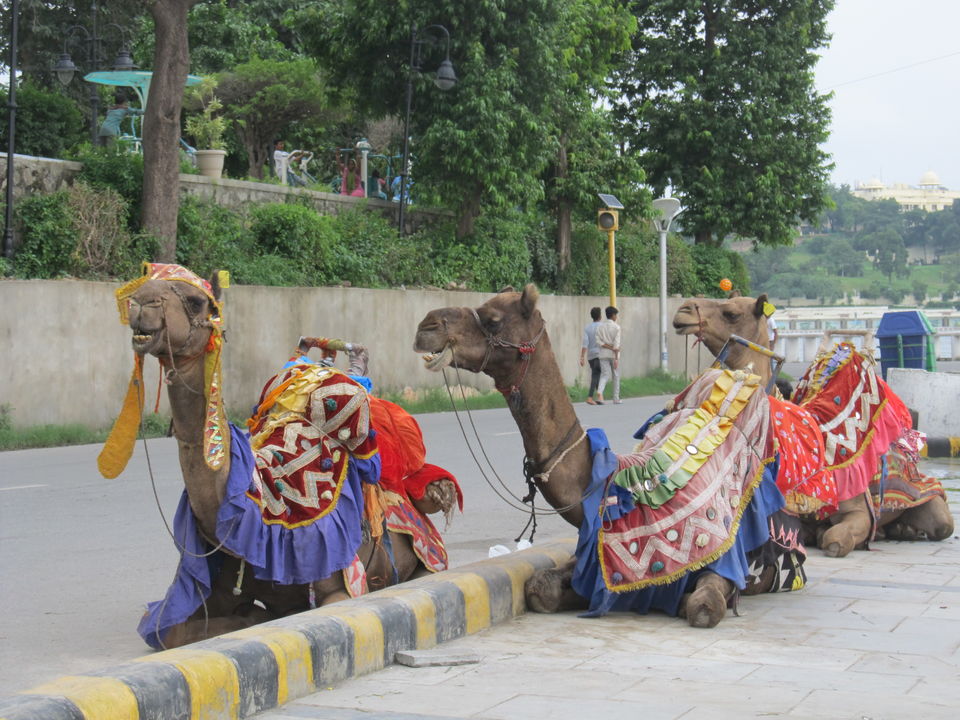Photo of Solo trip to "City of lakes" Udaipur by Sweetyy Gupta