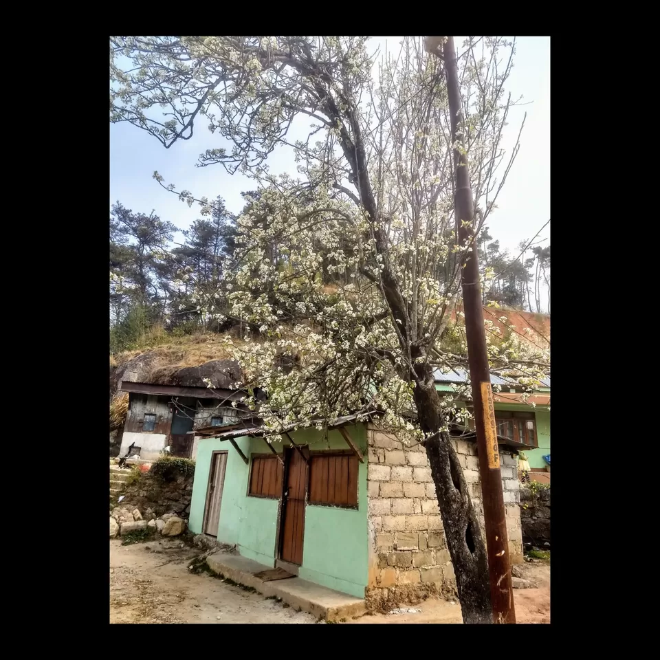 Photo of Cherrapunji by Udita Acharya