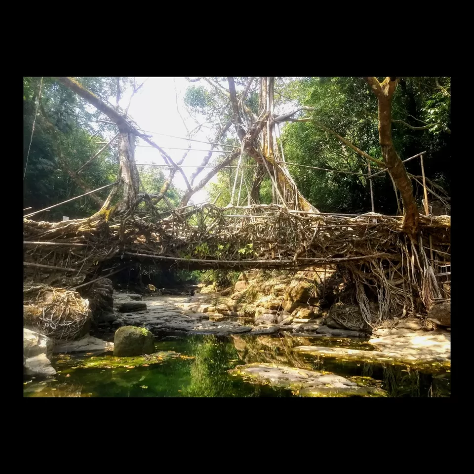 Photo of Cherrapunji by Udita Acharya