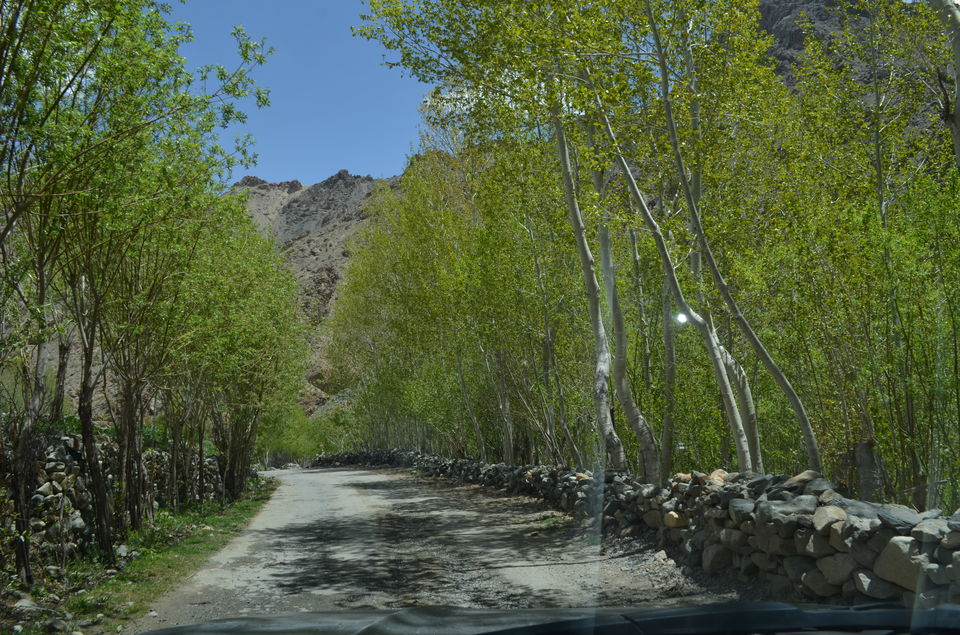 Photo of Juley Ladakh - A road trip of Paradise on earth 51/78 by Niti Bhargava