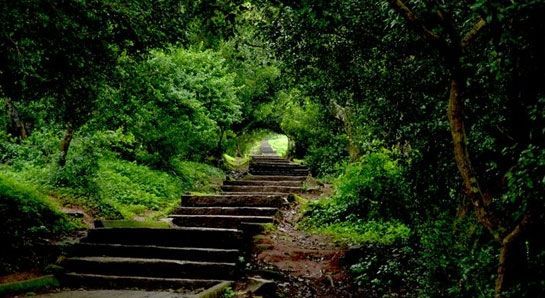 Photo of Nandi Hills–Bangalore: Magical sunrise 11/12 by Aditi Garg