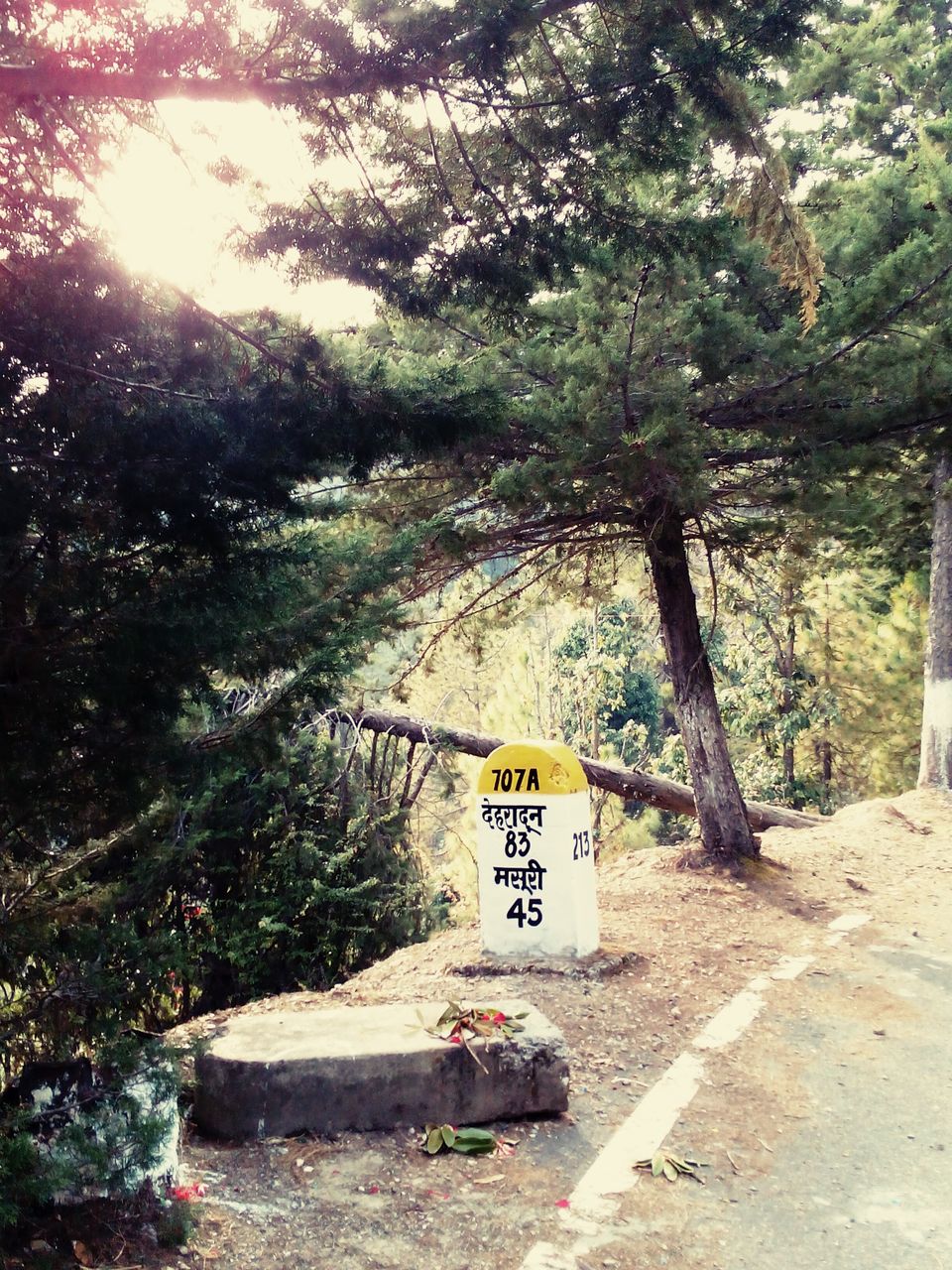Photo of The Road, Valley and People of ‘Uttarakhand’ - A Solo Bike Journey 43/158 by Debashish Baidya