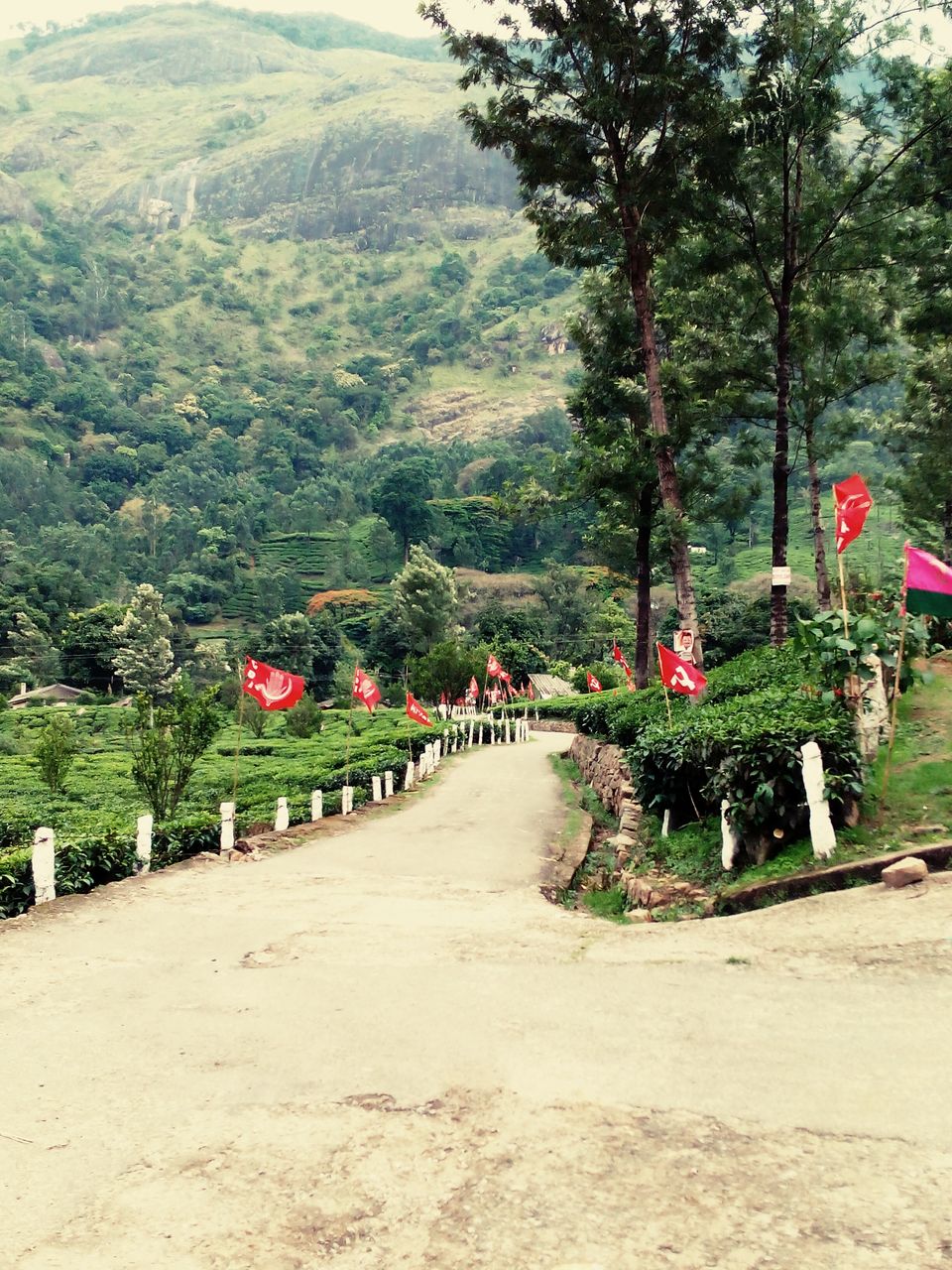 Photo of Can we call this route the ‘Golden Quadrilateral’ of south? 49/151 by Debashish Baidya