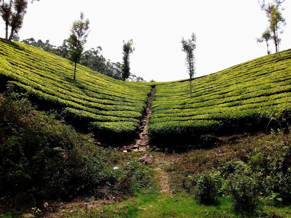 Photo of Can we call this route the ‘Golden Quadrilateral’ of south? 51/151 by Debashish Baidya