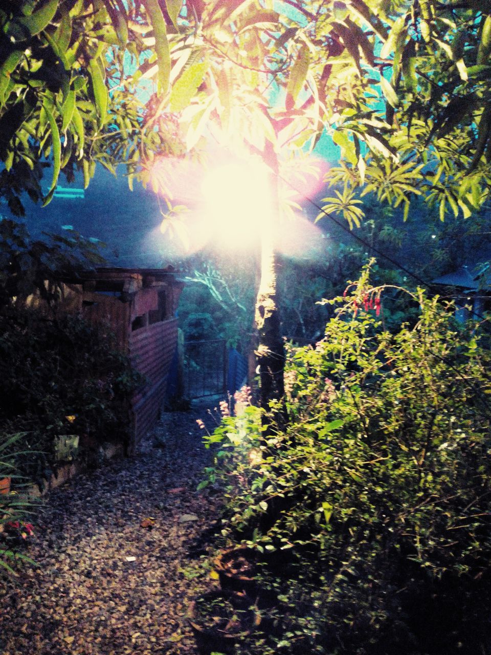 Photo of Can we call this route the ‘Golden Quadrilateral’ of south? 52/151 by Debashish Baidya