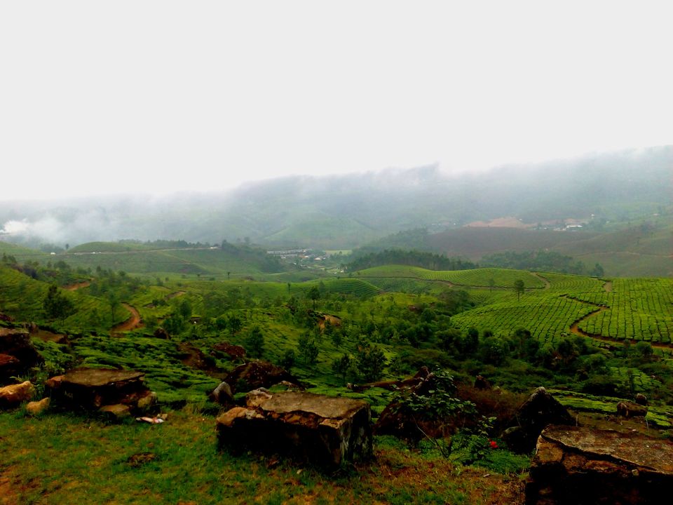 Photo of Can we call this route the ‘Golden Quadrilateral’ of south? 72/151 by Debashish Baidya