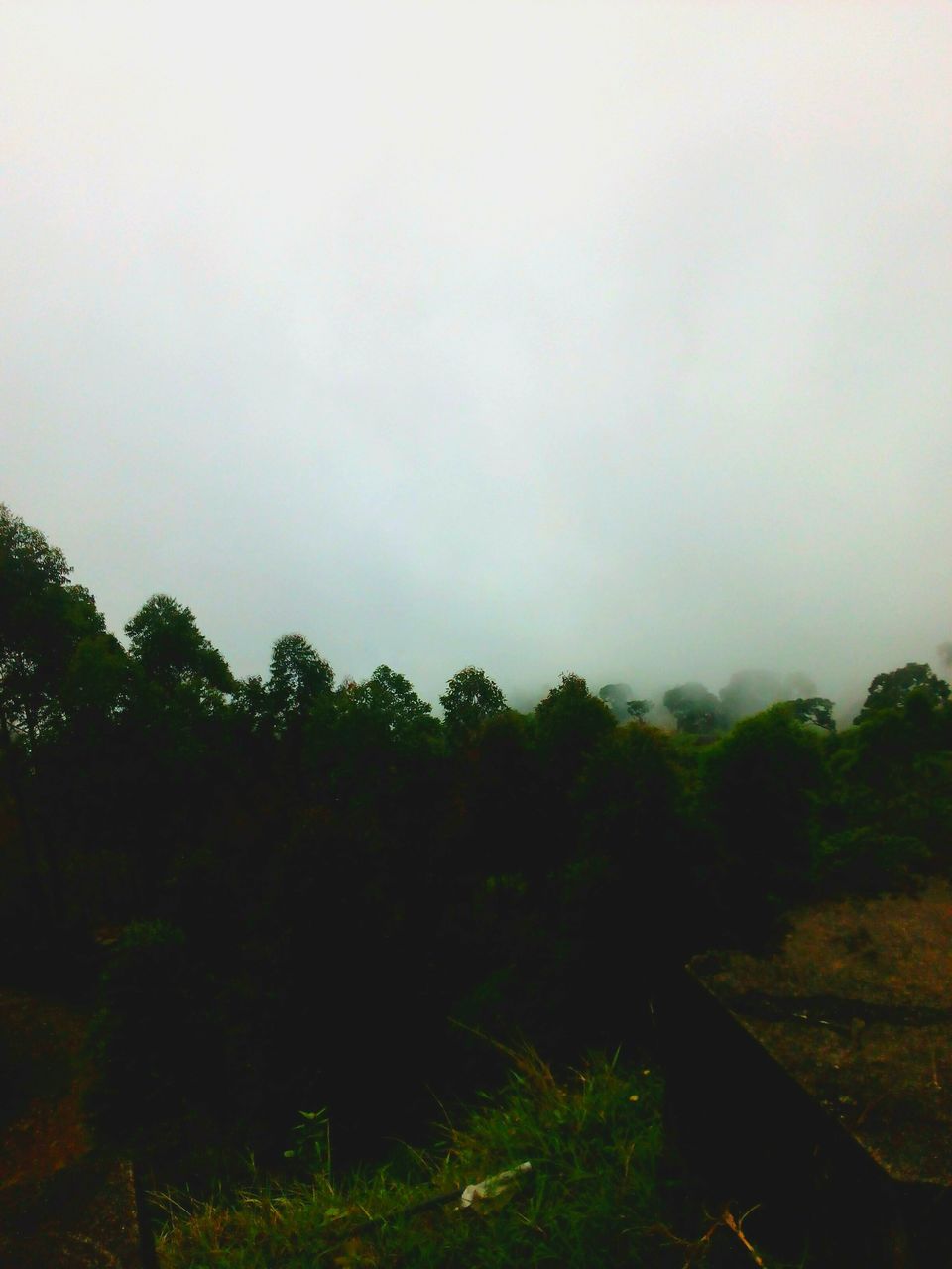 Photo of Can we call this route the ‘Golden Quadrilateral’ of south? 74/151 by Debashish Baidya