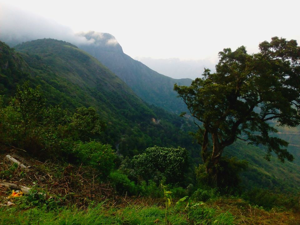Photo of Can we call this route the ‘Golden Quadrilateral’ of south? 81/151 by Debashish Baidya