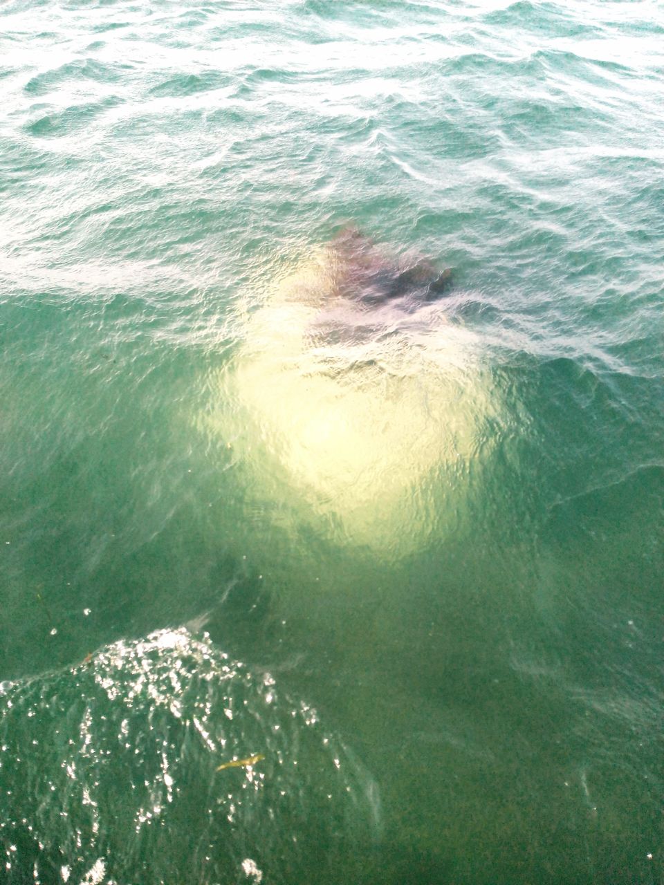 Photo of Can we call this route the ‘Golden Quadrilateral’ of south? 127/151 by Debashish Baidya