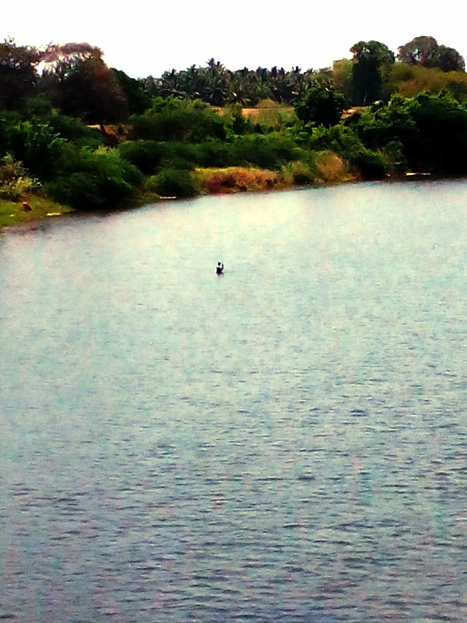 Photo of Can we call this route the ‘Golden Quadrilateral’ of south? 135/151 by Debashish Baidya