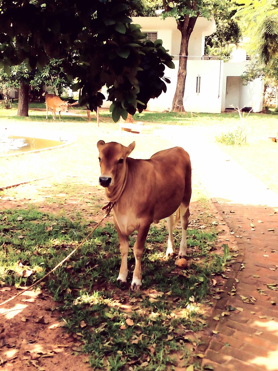 Photo of Can we call this route the ‘Golden Quadrilateral’ of south? 139/151 by Debashish Baidya