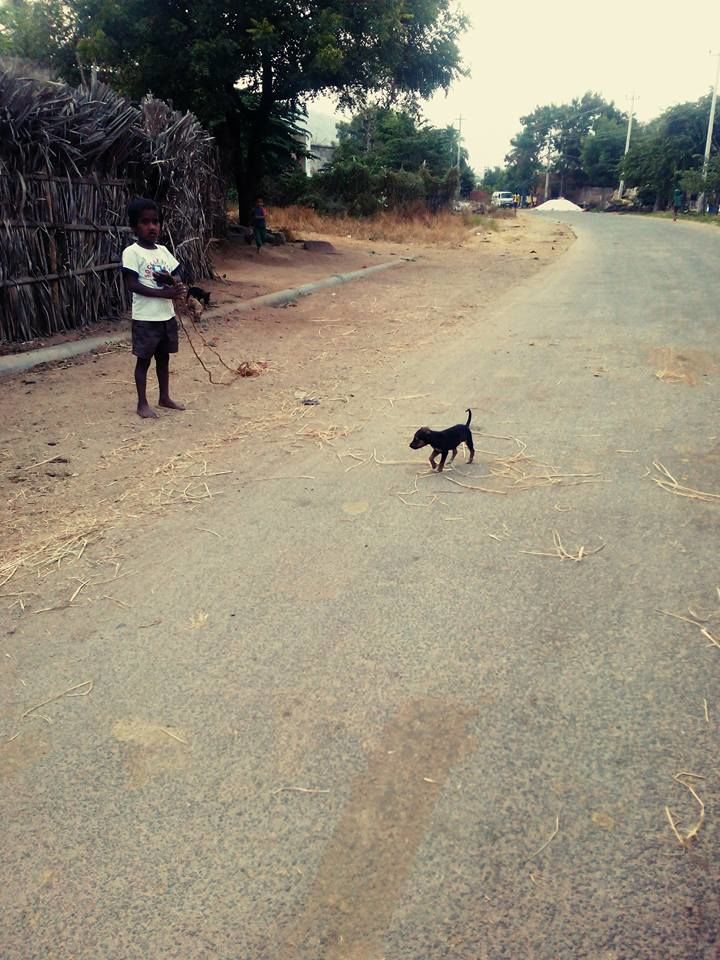 Photo of Sanapur, Karnataka, India by Debashish Baidya