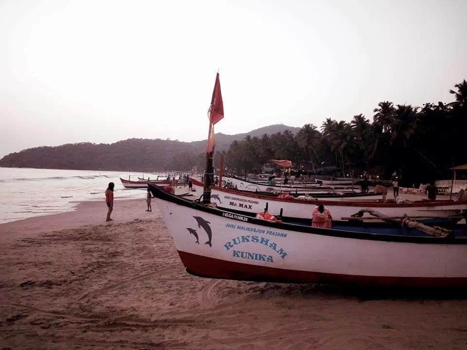 Photo of Palolem Beach, Goa, India by Debashish Baidya