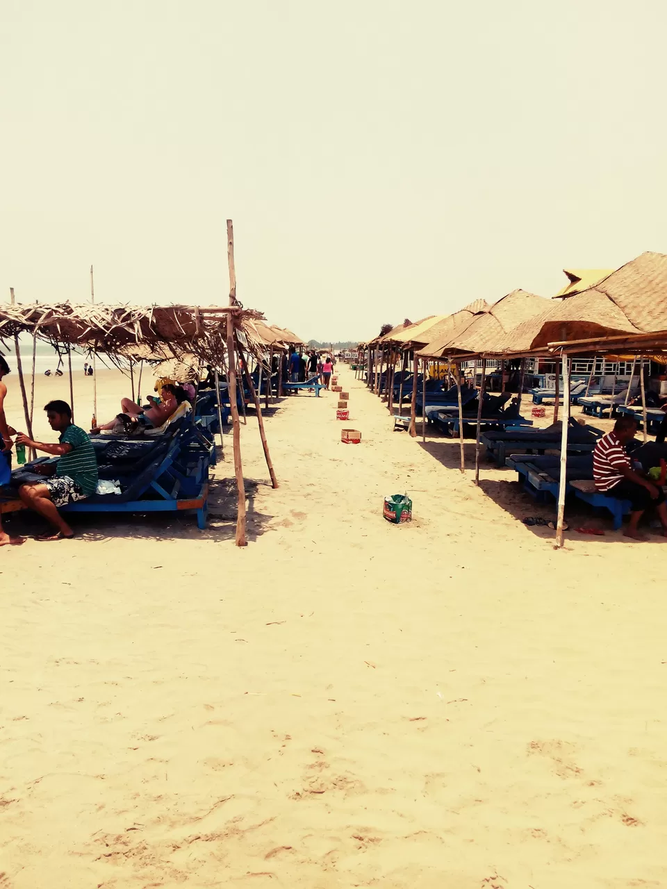 Photo of Morjim, Goa, India by Debashish Baidya