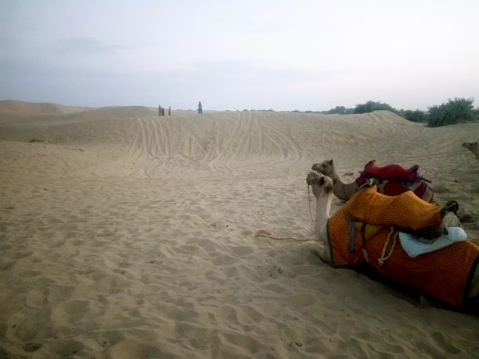 Photo of Sam Sand Dunes, Kanoi, Rajasthan, India by Debashish Baidya