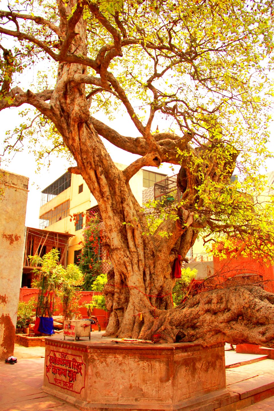 Photo of Vrindavan | Spirituality of the Heart 3/4 by Debashish Baidya