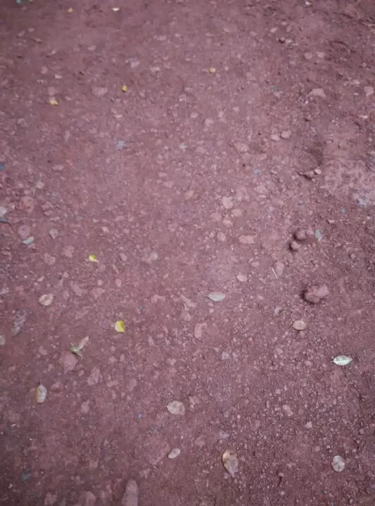 Photo of Matheran, Maharashtra, India by Sandeep yadav