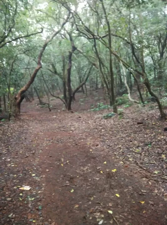 Photo of Matheran, Maharashtra, India by Sandeep yadav