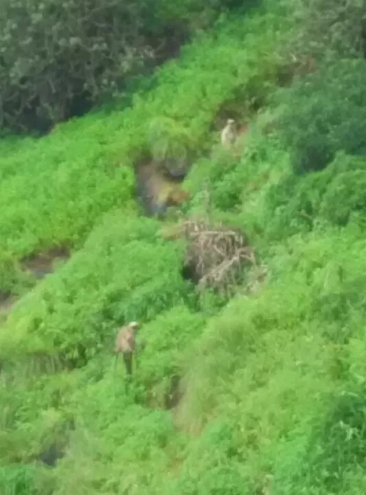 Photo of Matheran, Maharashtra, India by Sandeep yadav