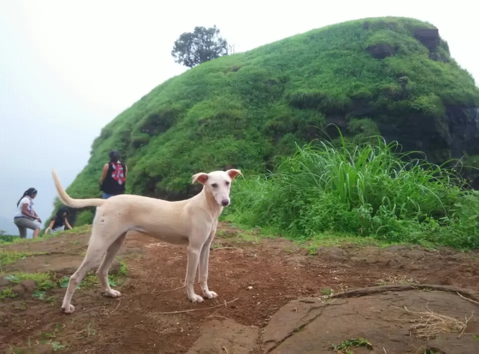 Photo of Matheran, Maharashtra, India by Sandeep yadav