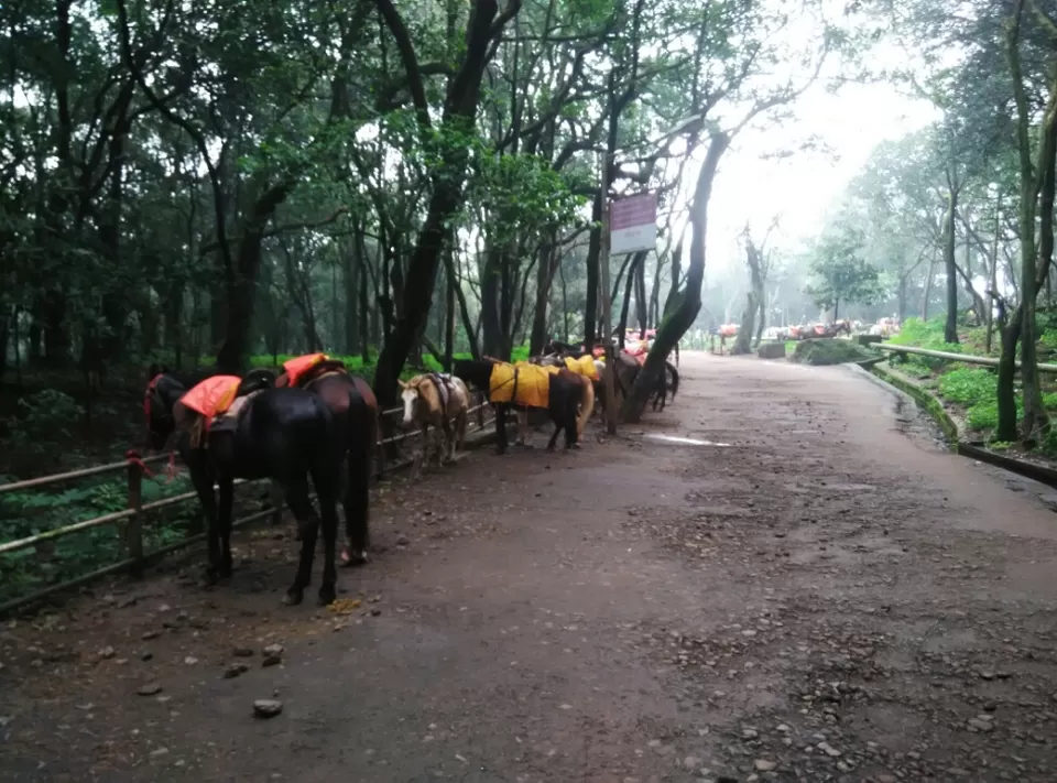 Photo of Matheran, Maharashtra, India by Sandeep yadav
