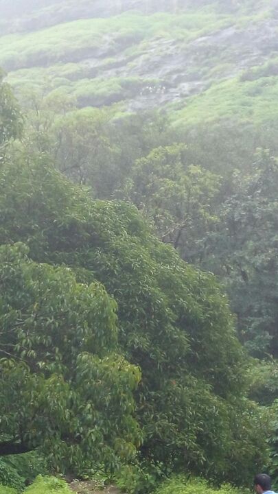Photo of Rajmachi Trek, Udhewadi, Maharashtra 410401, India by Sandeep yadav