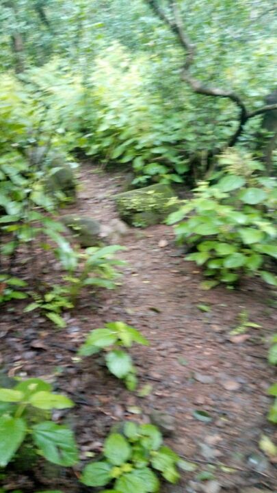 Photo of Rajmachi Trek, Udhewadi, Maharashtra 410401, India by Sandeep yadav