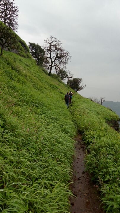 Photo of Rajmachi Trek, Udhewadi, Maharashtra 410401, India by Sandeep yadav